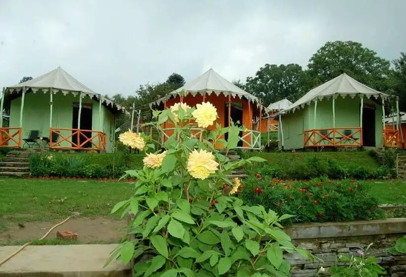 Hotelli Jungle Livinn