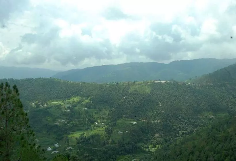 Hotelli Jungle Livinn