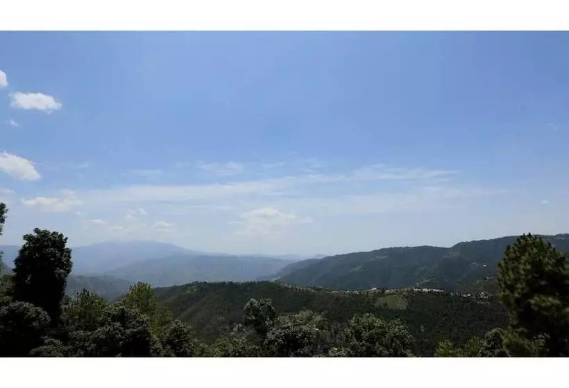 Hotelli Jungle Livinn