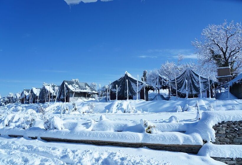 בית מלון כפרי Jungle Livinn