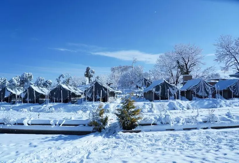 Hotelli Jungle Livinn