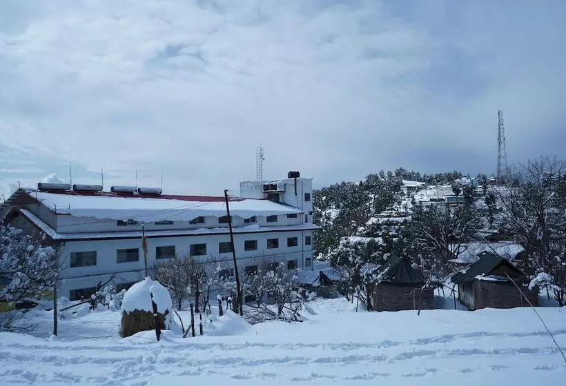 Hotelli Jungle Livinn