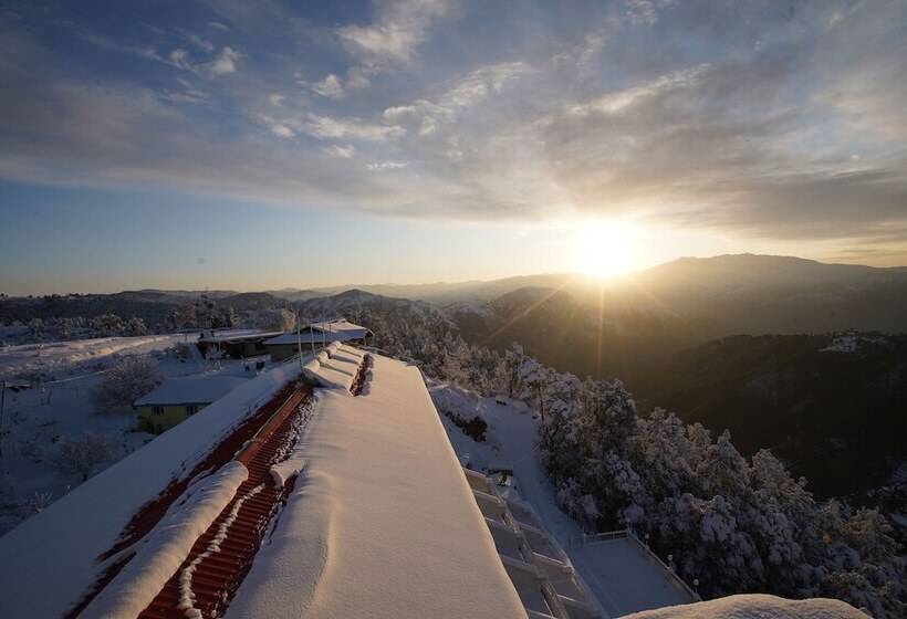 בית מלון כפרי Jungle Livinn