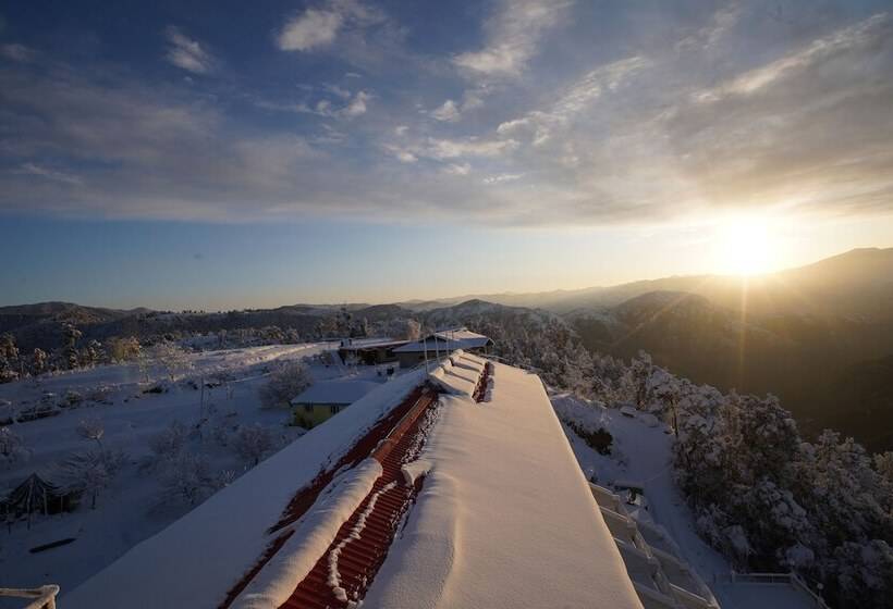 בית מלון כפרי Jungle Livinn