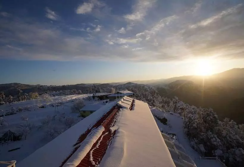 Hotelli Jungle Livinn