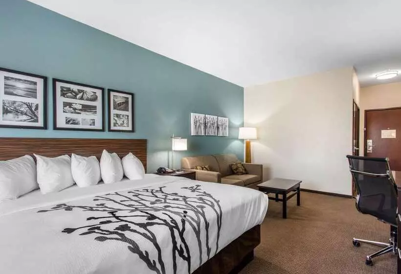 Hotelli Sleep Inn Big Spring North I 20