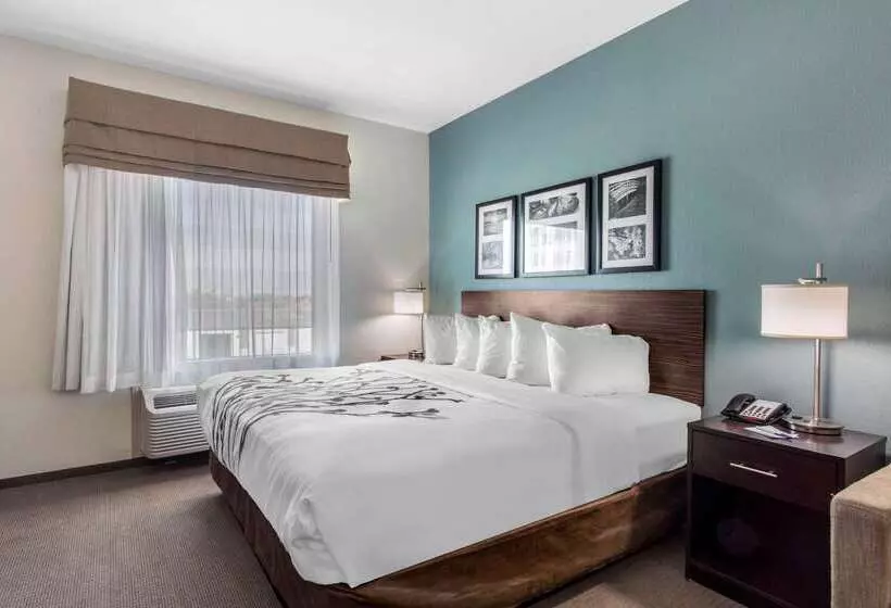 Hotelli Sleep Inn Big Spring North I 20