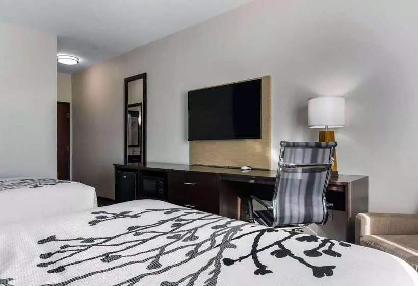 Hotelli Sleep Inn Big Spring North I 20