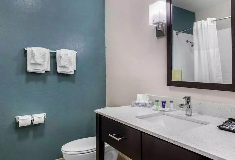 Hotelli Sleep Inn Big Spring North I 20