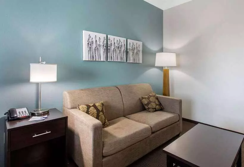 Hotelli Sleep Inn Big Spring North I 20