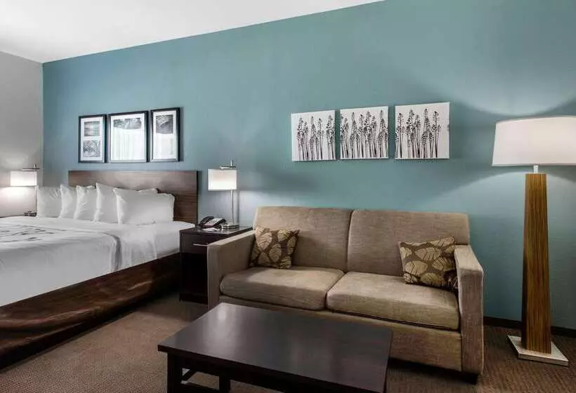 Hotelli Sleep Inn Big Spring North I 20