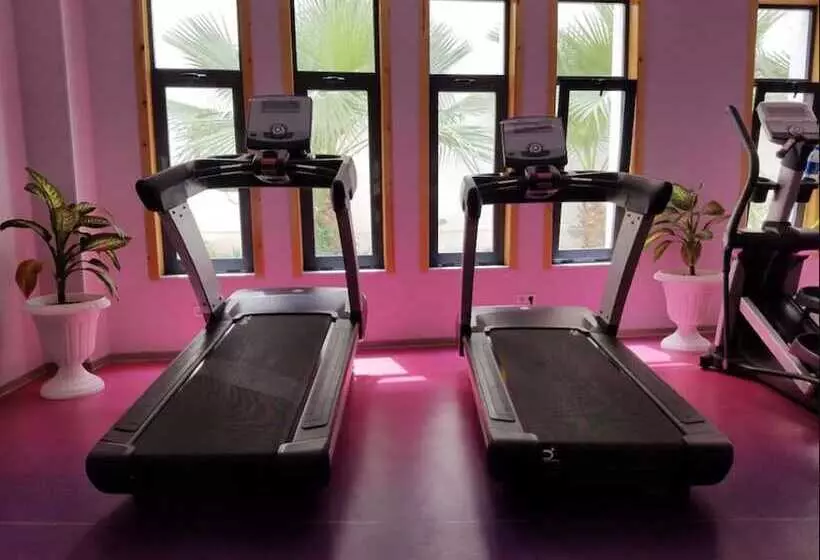 Le Zenith Hotel Oran