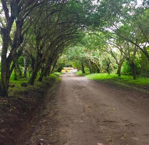 Refugio De La Montaña B&b