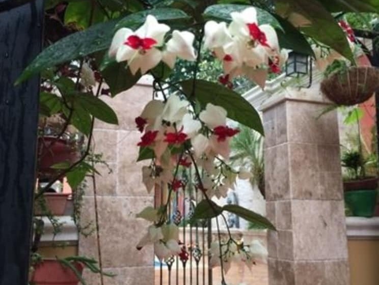 Refugio De La Montaña B&b