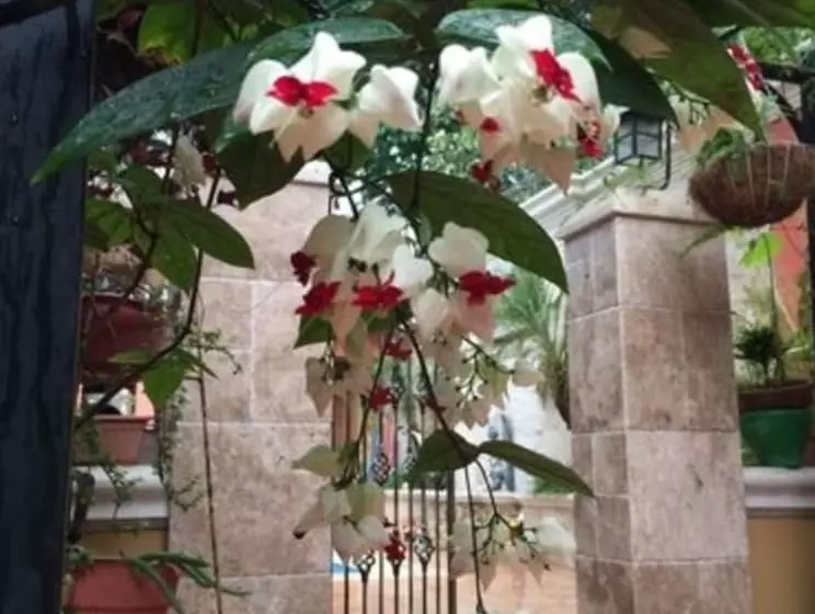 Refugio De La Montaña B&b