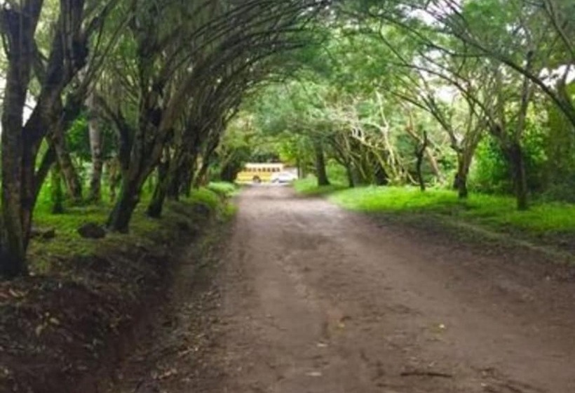 Refugio De La Montaña B&b