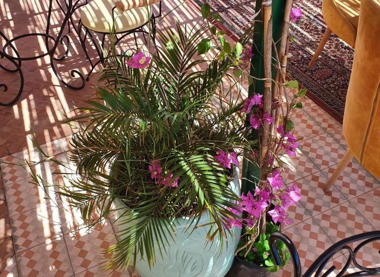 민박 Riad Golf Stinia