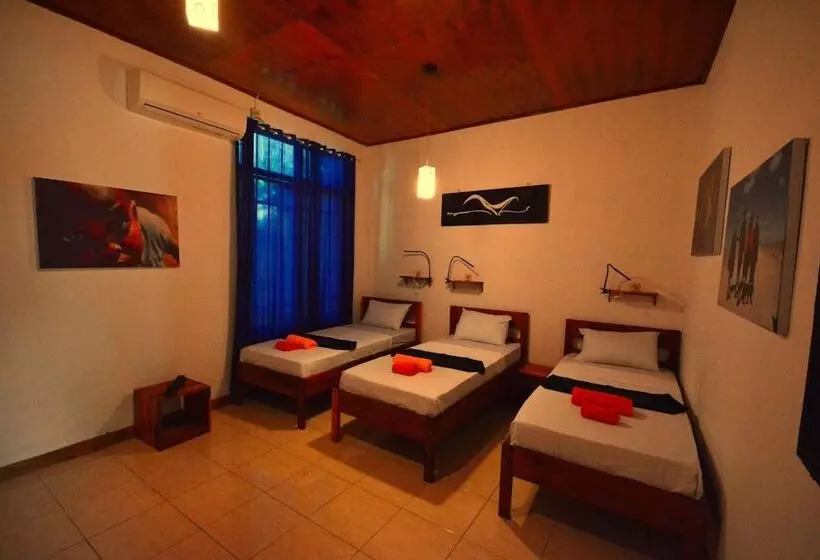 Aamiaismajoitus (B&B) World Bnb