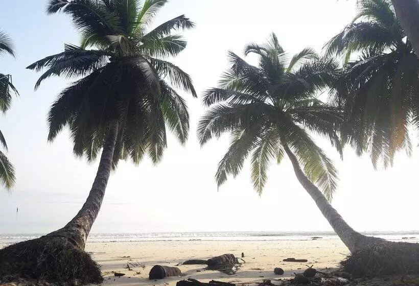 ホテル Sunrise Beach Resort