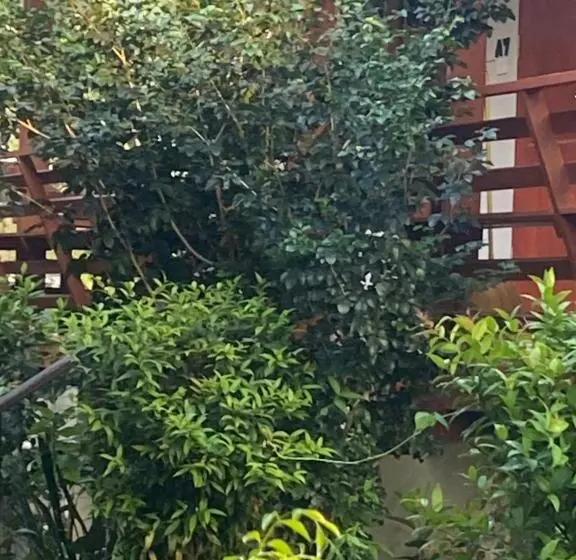 Lomakeskus Paibaansuan
