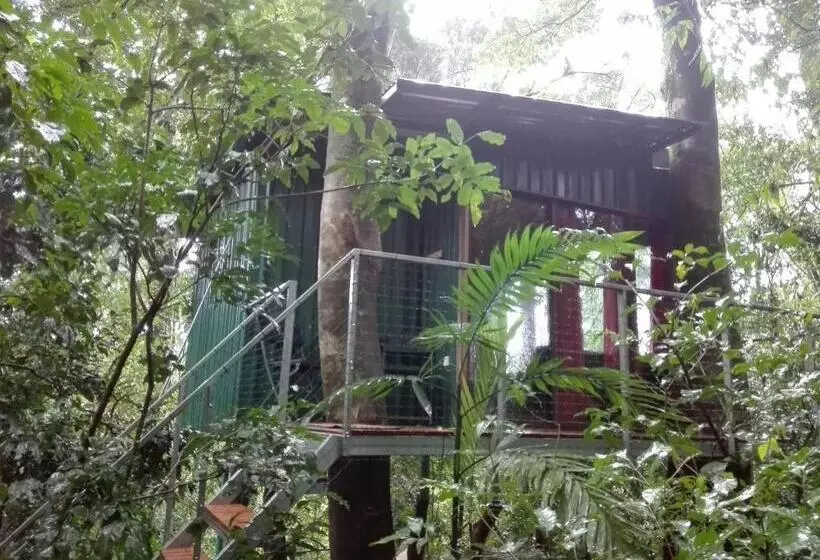 ベッドアンドブレックファースト The Green Tree Lodge