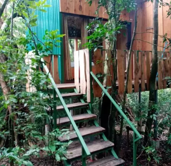 ベッドアンドブレックファースト The Green Tree Lodge