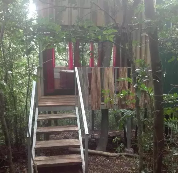 ベッドアンドブレックファースト The Green Tree Lodge
