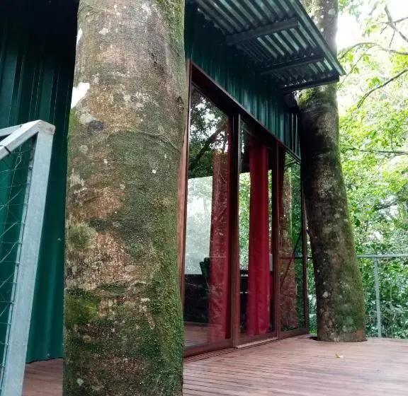 ベッドアンドブレックファースト The Green Tree Lodge