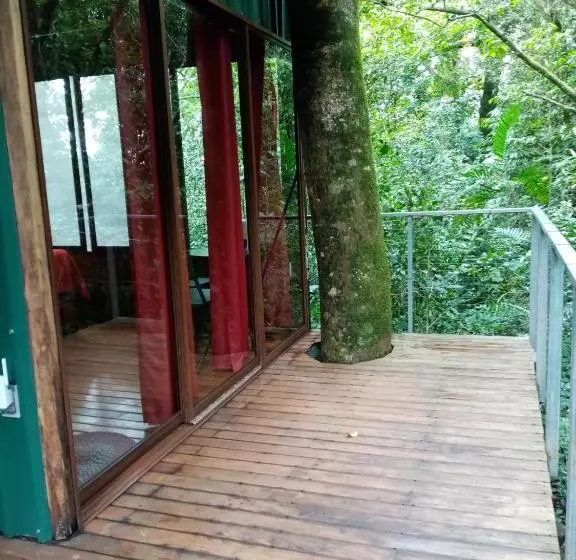 ベッドアンドブレックファースト The Green Tree Lodge