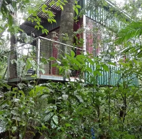 ベッドアンドブレックファースト The Green Tree Lodge