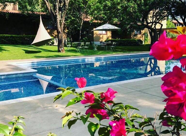 فندق Amate Del Rio