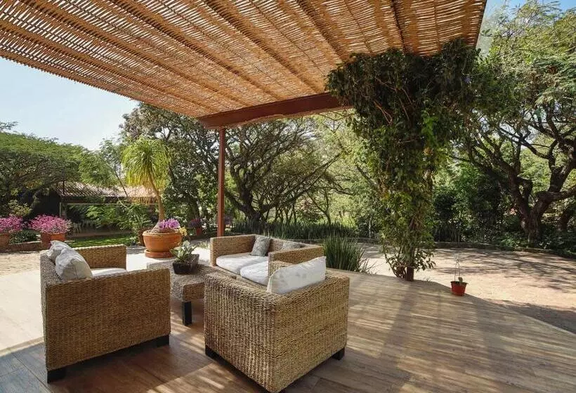 ホテル Amate Del Rio