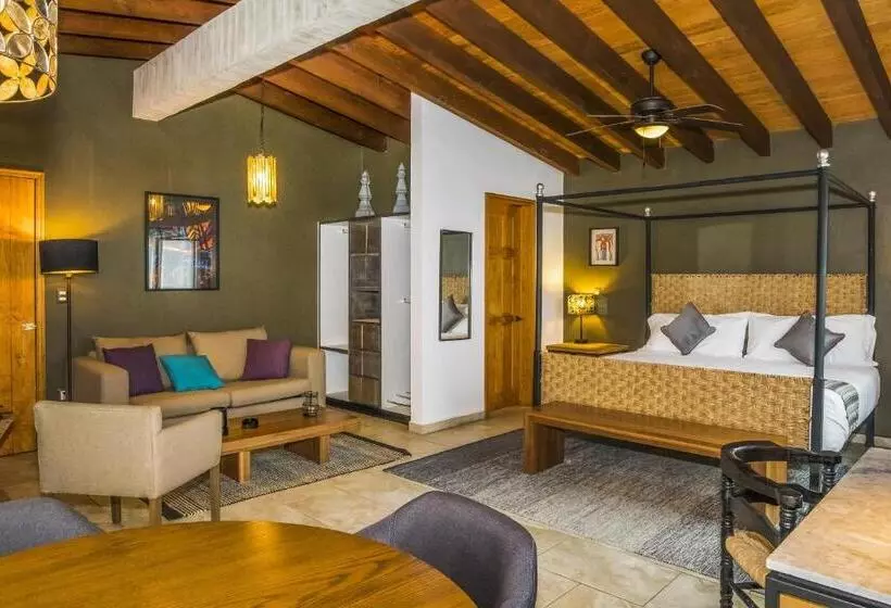 ホテル Amate Del Rio