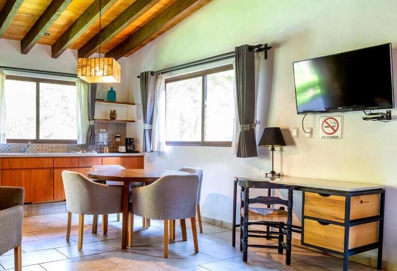 فندق Amate Del Rio