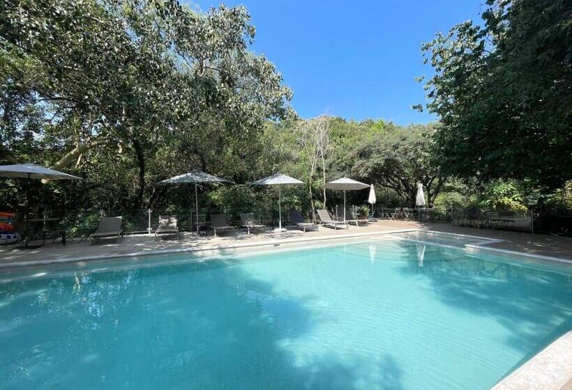 فندق Amate Del Rio