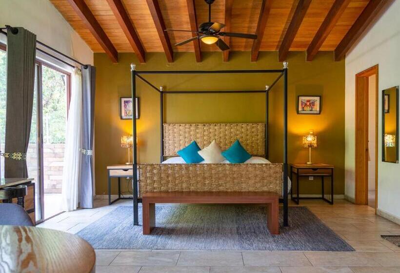 فندق Amate Del Rio