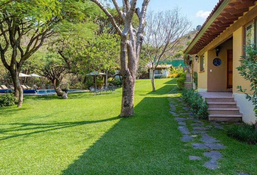 فندق Amate Del Rio