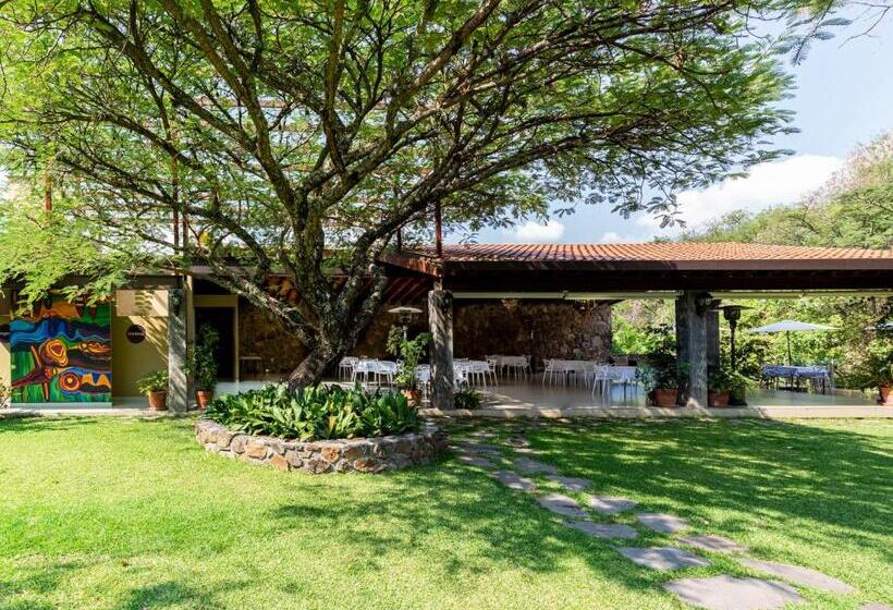 فندق Amate Del Rio