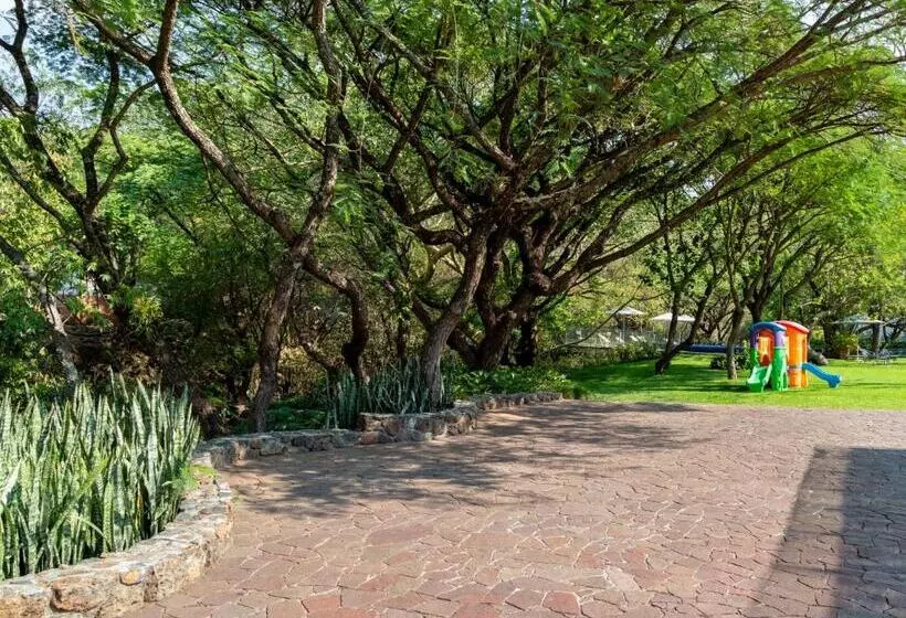 ホテル Amate Del Rio