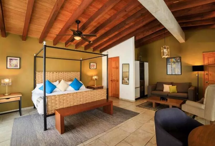 ホテル Amate Del Rio