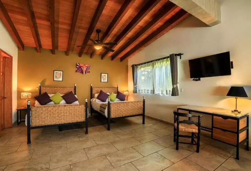 ホテル Amate Del Rio