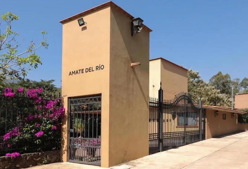 ホテル Amate Del Rio