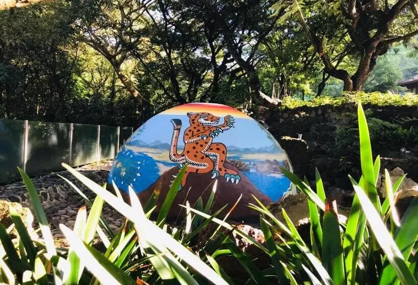 ホテル Amate Del Rio