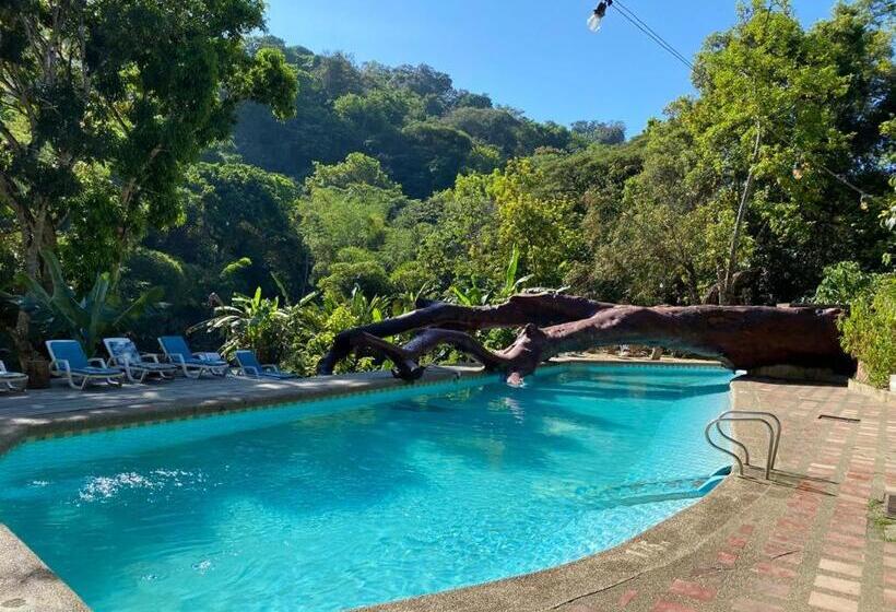 Schronisko Río Elemento