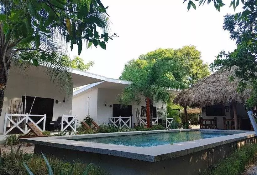 Aamiaismajoitus (B&B) Antema Lodge Secteur Tamarindo, Piscine, Yoga, Gym, Jungle Et Paix