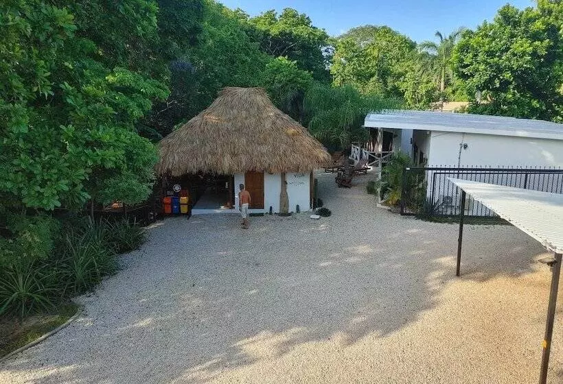 Aamiaismajoitus (B&B) Antema Lodge Secteur Tamarindo, Piscine, Yoga, Gym, Jungle Et Paix