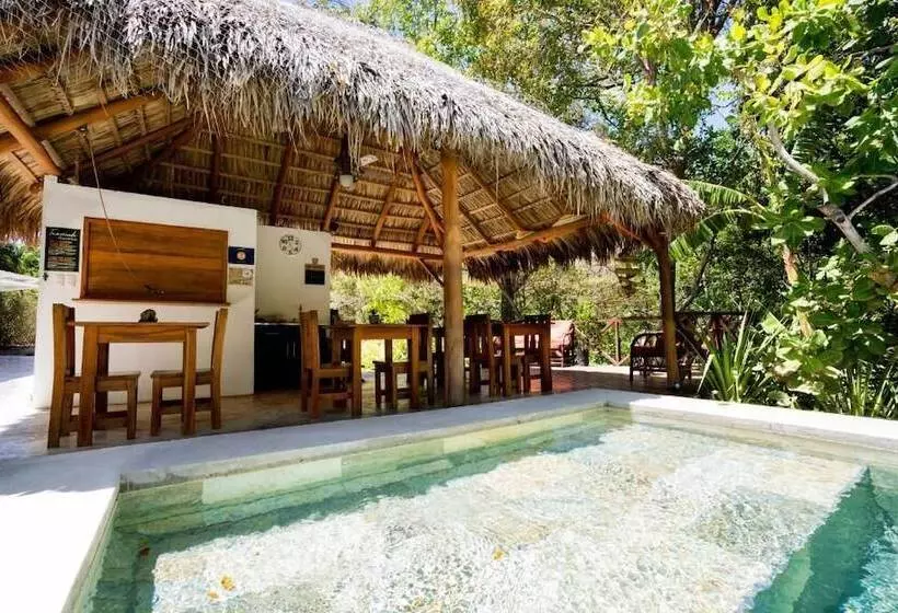 Aamiaismajoitus (B&B) Antema Lodge Secteur Tamarindo, Piscine, Yoga, Gym, Jungle Et Paix