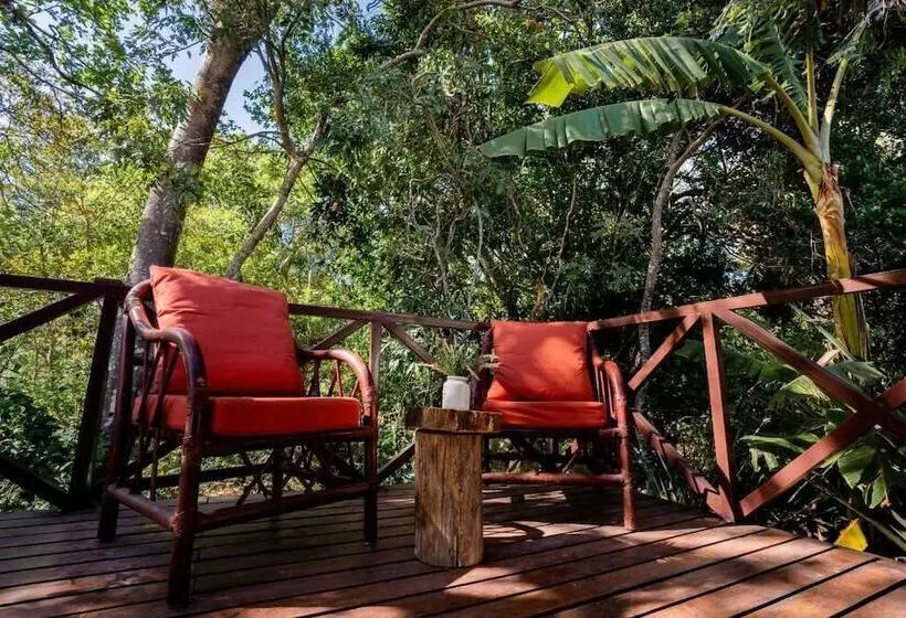 Aamiaismajoitus (B&B) Antema Lodge Secteur Tamarindo, Piscine, Yoga, Gym, Jungle Et Paix