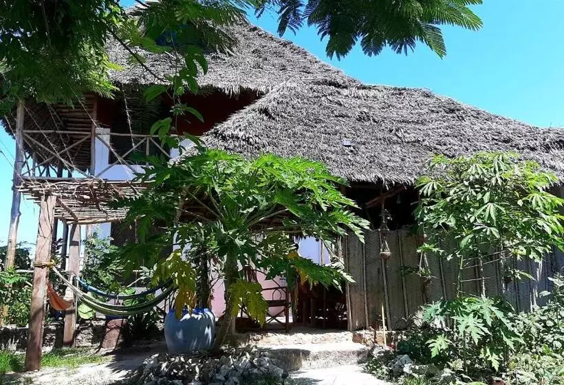Aamiaismajoitus (B&B) Kilimani House