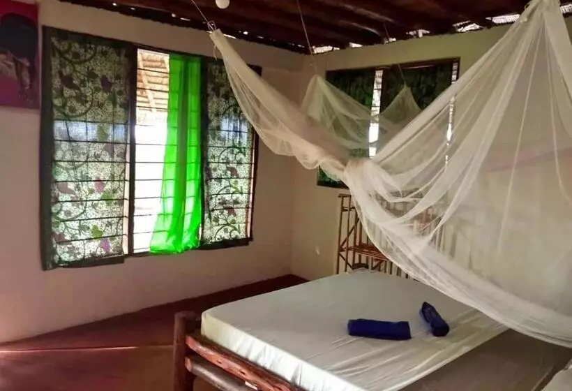 Aamiaismajoitus (B&B) Kilimani House